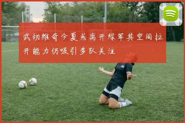 武切维奇今夏或离开绿军其空间拉开能力仍吸引多队关注