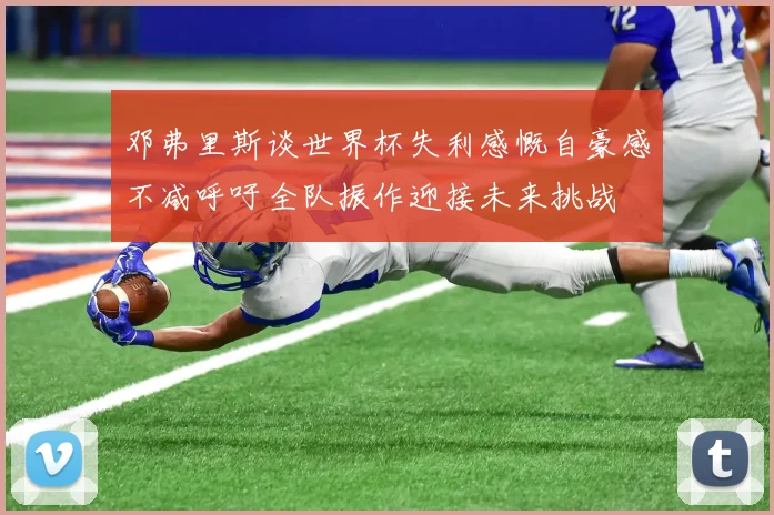 邓弗里斯谈世界杯失利感慨自豪感不减呼吁全队振作迎接未来挑战