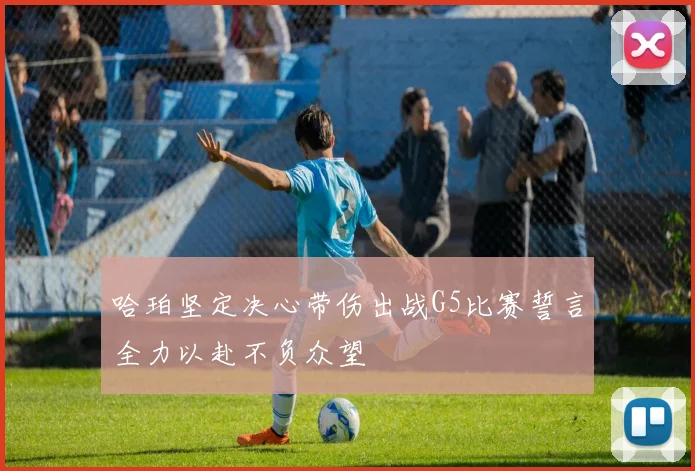 哈珀坚定决心带伤出战G5比赛誓言全力以赴不负众望