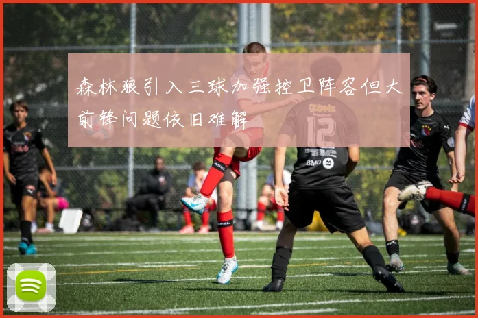 森林狼引入三球加强控卫阵容但大前锋问题依旧难解